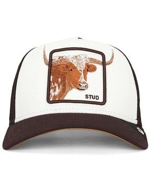 Goorin Bros Over The Line Longhorn Hat - Multicolor