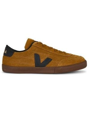 Veja Panenka - Brown