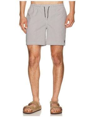 AllSaints Ciper Stripe Swimshort - White