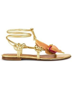 Alameda Turquesa Victoria Sandal - Metallic