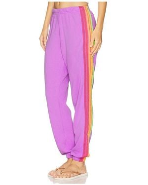 Aviator Nation 5 Stripe Sweatpant - Pink