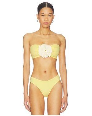 Bahia Maria Maia Bikini Top - Multicolor