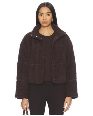 Barefoot Dreams Brushed Cozychic Puffer Jacket - Black