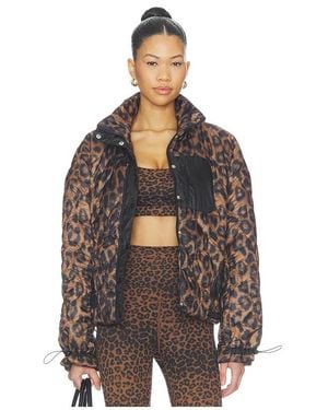 Beach Riot Harvie Jacket - Black