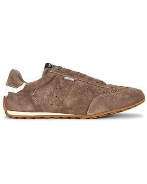 AllSaints Liam Low Top - Brown