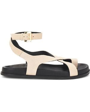 Seychelles Sandalia Fritz En Talla (También En 7, 9) - Multicolor