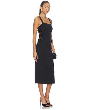 Steve Madden Rene Dress - Black