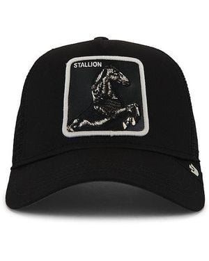 Goorin Bros Stallion Trucker Hat - Black