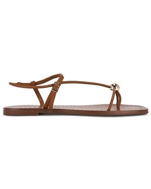 Loeffler Randall Lara Strappy Flat Sandal - Brown