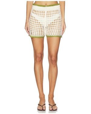 superdown Bronwin Short - Multicolor