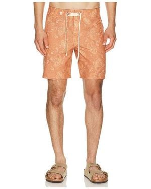 Rhythm Badehose Tally - Orange