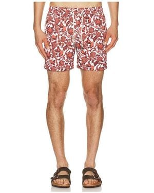 ARRELS Barcelona Kabak X Lazaro Rosa Violan Classic Swim Shorts - Red