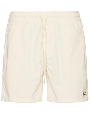 Brixton Shorts Everyday - Weiß