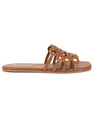 Steve Madden Lotus Sandal - Brown
