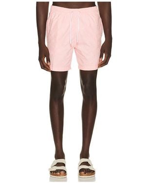 Trunks Surf & Swim Sano 6.5 Swim Short - Pink