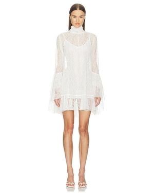 for love and lemons viva velvet mini dress Martini Olive Velvet Mini Dress by For Love and Lemons – Cattivo