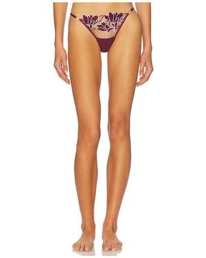 Bluebella Geneva Thong - Orange