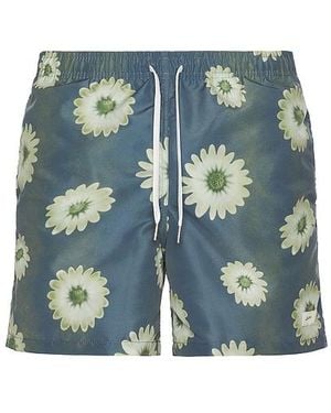 Bather Concrete Air Garden Swim Trunks - Blue