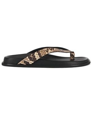 PAIGE Chancla Plana Zadie En Color Bronce Talla (También En 6, 6.5, 7, 7.5, 8, 8.5, 9, 9.5) - Negro