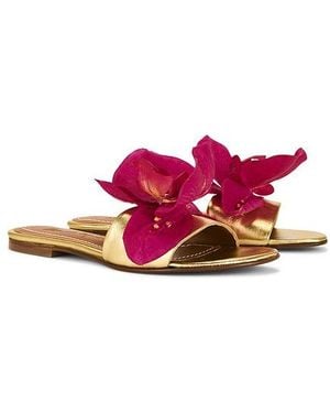 Alameda Turquesa Ophelia Sandal - Multicolour