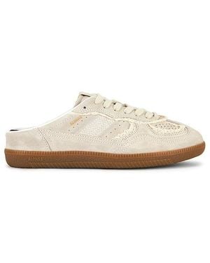 Alohas Tb.490 Mule Trainer - White