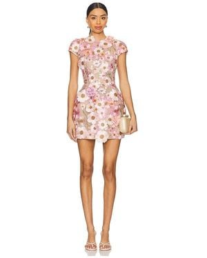 Bronx and Banco Jasmine Mini Dress - Multicolour