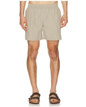 AUTO-REPLY 5.5 Solid Sebastian Swim Trunk - Natural