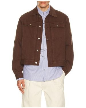 LE17SEPTEMBRE Chaqueta Vaquera En Color Marrón Talla (También En 48, 50, 52)