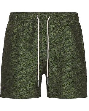 Oas Shorts - Grün