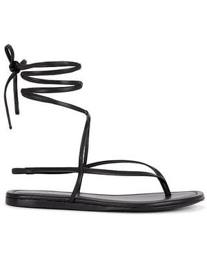 RAYE Aditi Sandal - Black