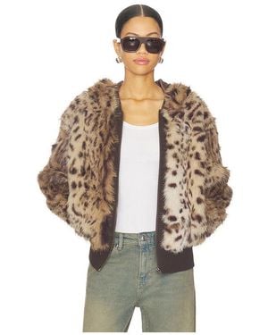 Jaded London Bear Faux Fur Jacket - Multicolour