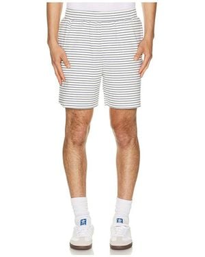 BOUND Stripe Jacquard Shorts - Multicolor