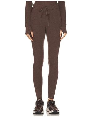 WellBeing + BeingWell Royal Knit Tight - Brown