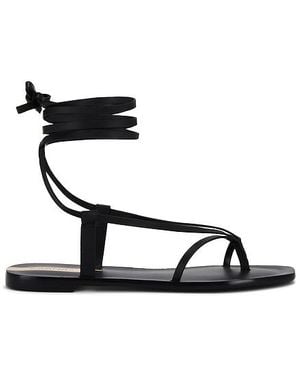 Kaanas Paloma Sandal - Black