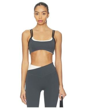 P.E Nation Distortion Sports Bra - Blue