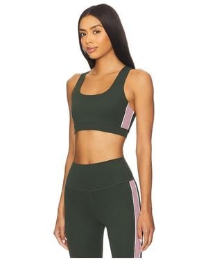 Splits59 Lexi Rigor Sports Bra - Black