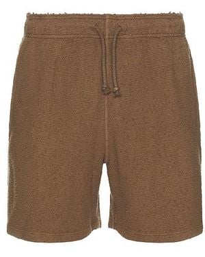 Asher Shorts - Natur