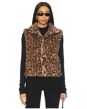 Adrienne Landau Printed Rabbit Vest - Black