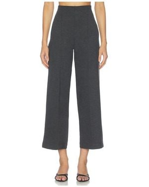 Ripley Rader Ponte Knit Cropped Straight Leg Pant - Black