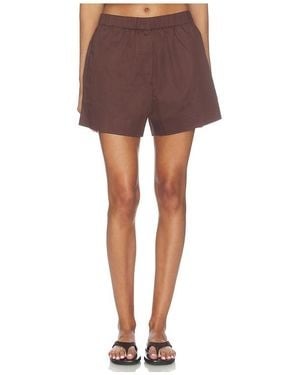 Sold Out NYC The Everything Short - Brown