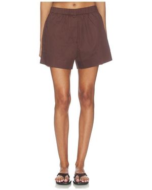 Sold Out NYC The Everything Short - Brown