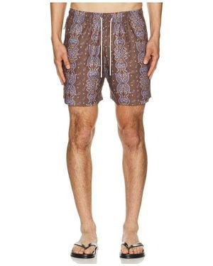 Oas Swim Shorts - Red