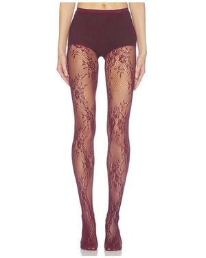 petit moments COLLANTS EN DENTELLE STRETCH LACE TIGHTS en Burgundy. - Rouge