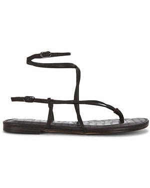 Sam Edelman Sandale Clarra - Mehrfarbig
