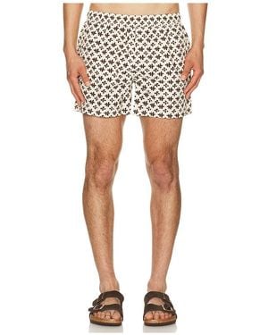 AUTO-REPLY 4 Printed Sebastian Swim Trunk - Multicolour