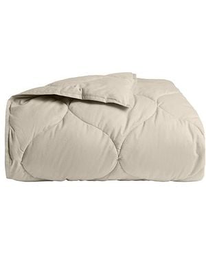 Parachute Edredón Cotton Drift En Color Crema Talla (También En - Neutro
