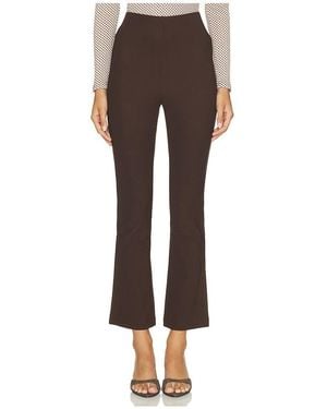 Astr Tonya Pants - Brown
