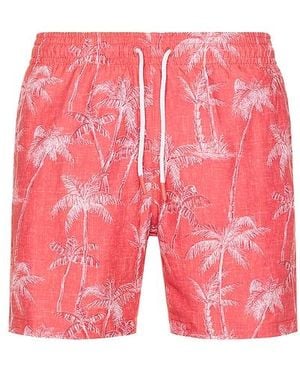 Trunks Surf & Swim Badeshorts Sano - Pink