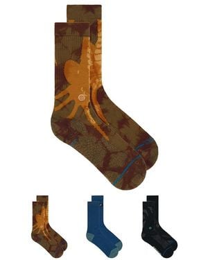 Stance Box-Set - Mehrfarbig