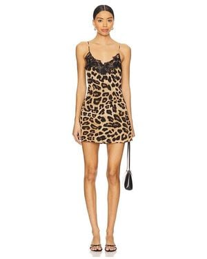 superdown Jennie Mini Dress - Multicolour